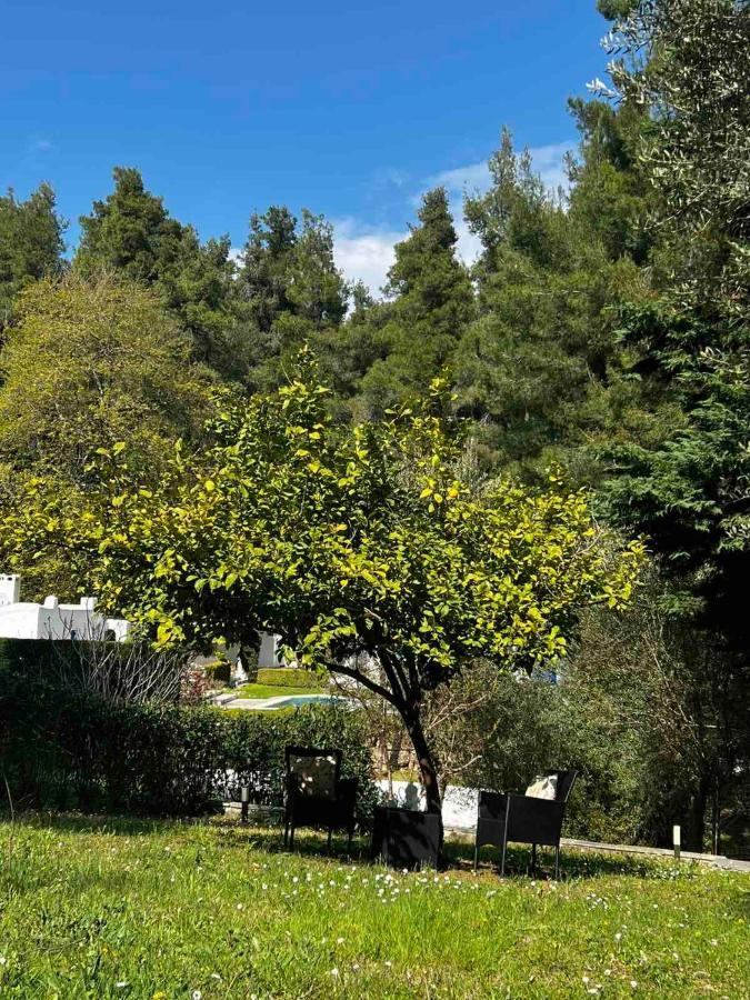 Sani Garden House Villa Ngoại thất bức ảnh